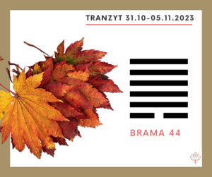 Read more about the article Tranzyt 31 X – 5 XI 2023