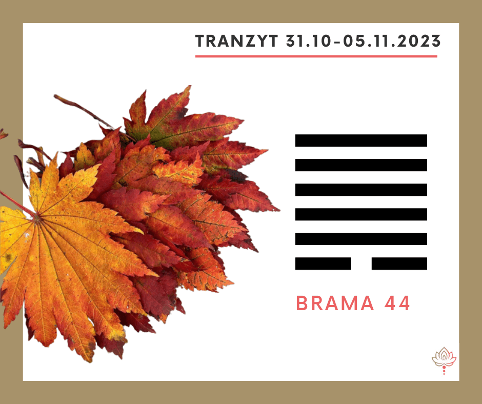 You are currently viewing Tranzyt 31 X – 5 XI 2023