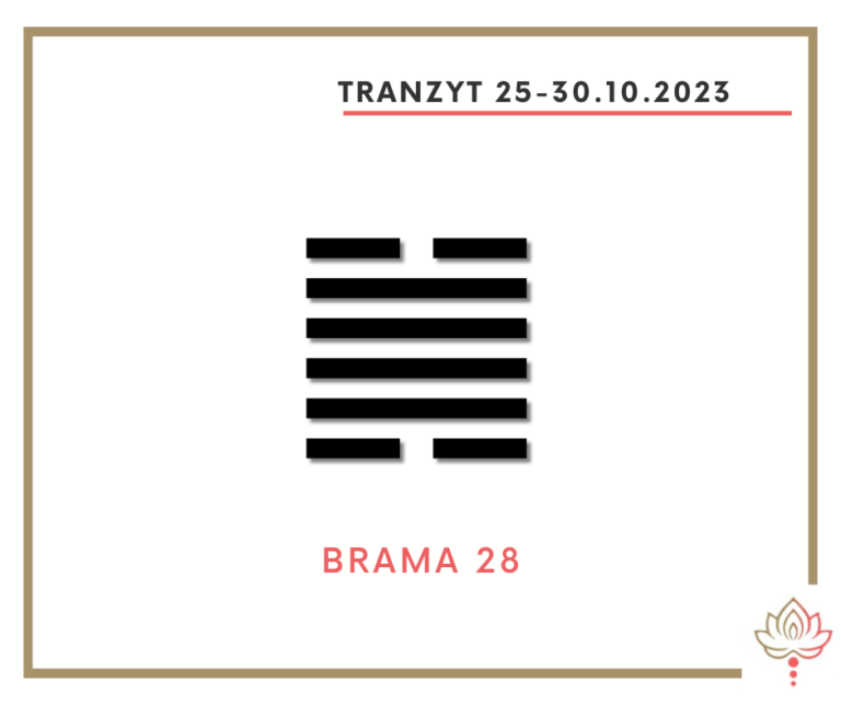 Read more about the article Tranzyt 25-30 X 2023