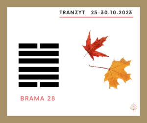 Read more about the article Tranzyt 25-30 X 2023