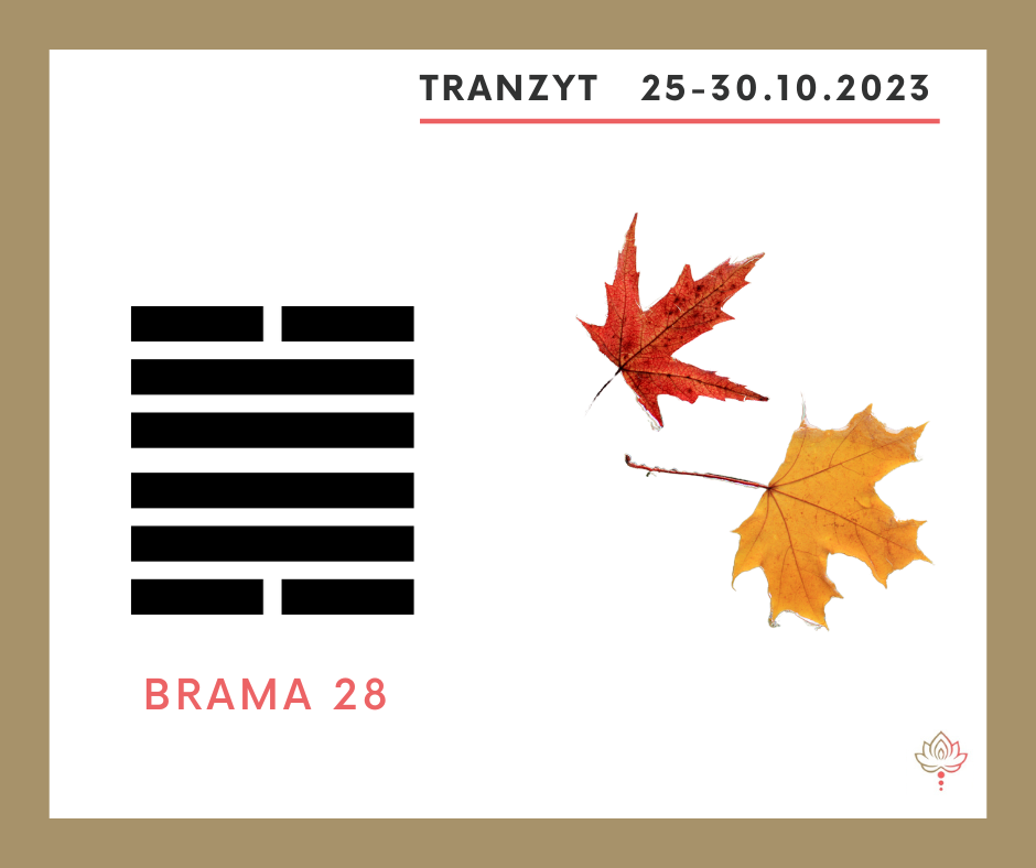 You are currently viewing Tranzyt 25-30 X 2023