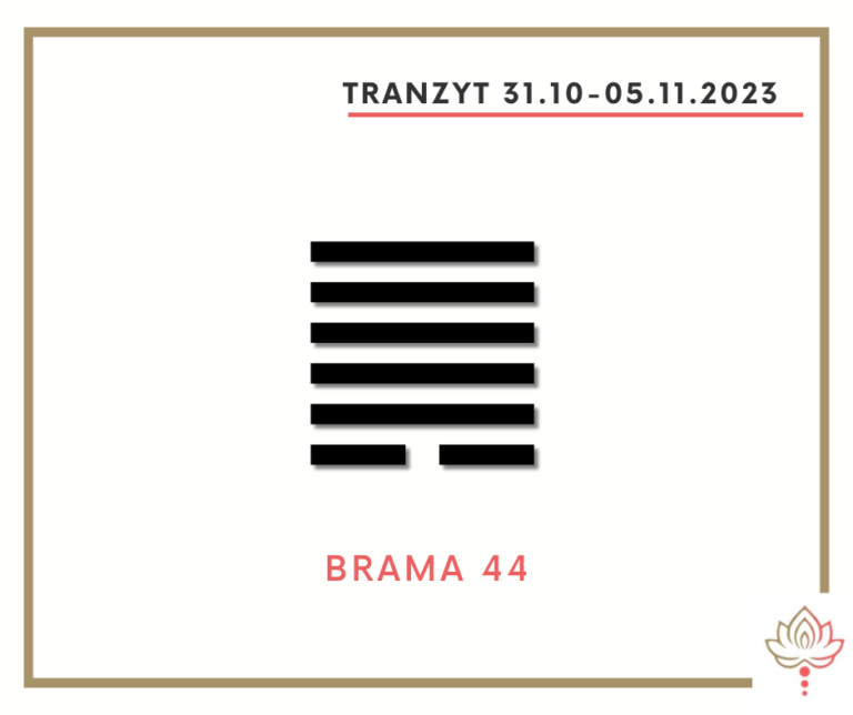 Read more about the article Tranzyt 31 X – 5 XI 2023