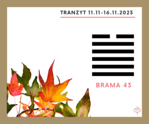 Read more about the article Tranzyt 11 XI – 16 XI 2023