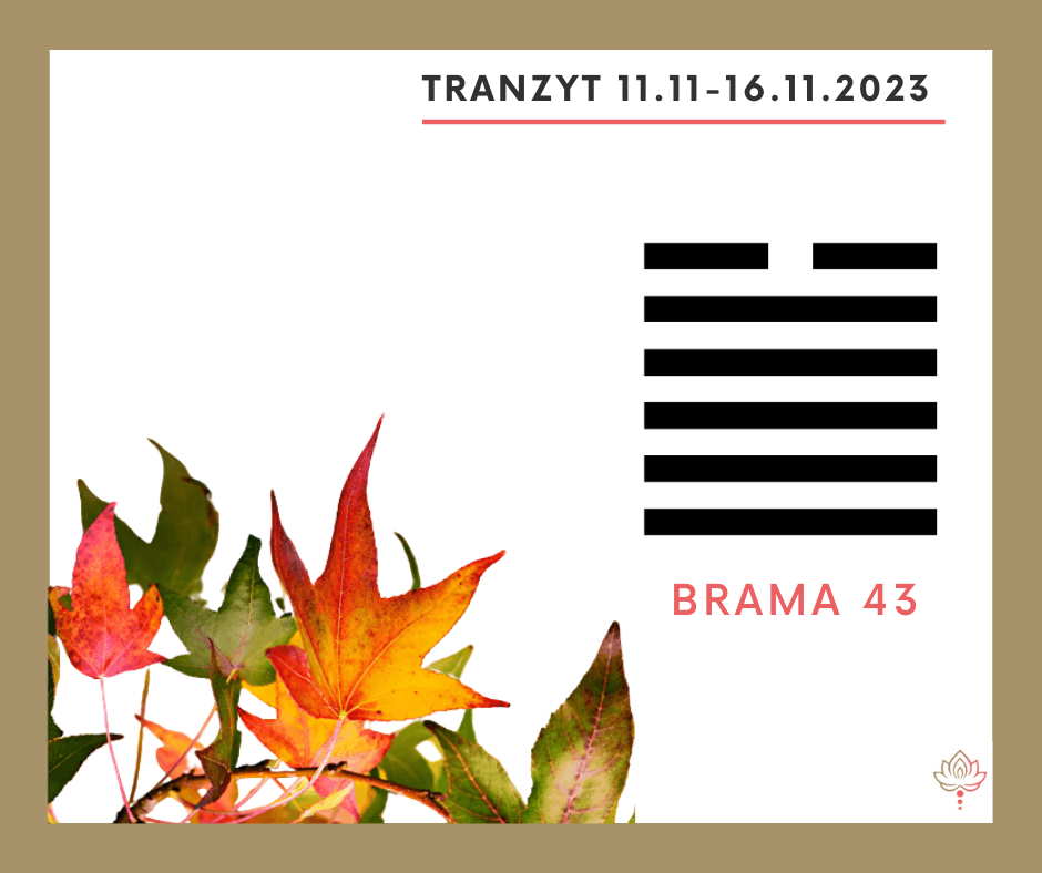 You are currently viewing Tranzyt 11 XI – 16 XI 2023