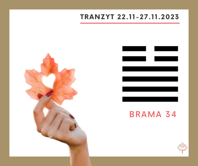 Read more about the article Tranzyt 22–27 XI 2023
