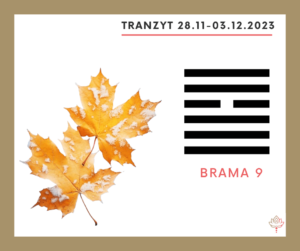 Read more about the article Tranzyt 28 XI–3 XII 2023