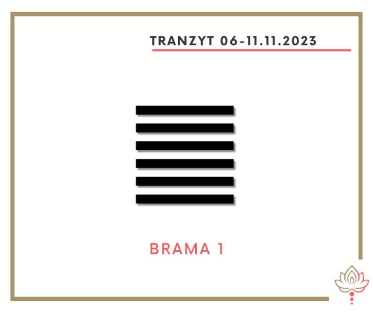 Read more about the article Tranzyt 6 XI – 11 XI 2023