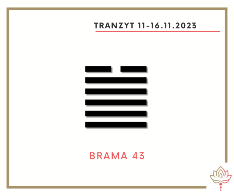 Read more about the article Tranzyt 11 XI – 16 XI 2023