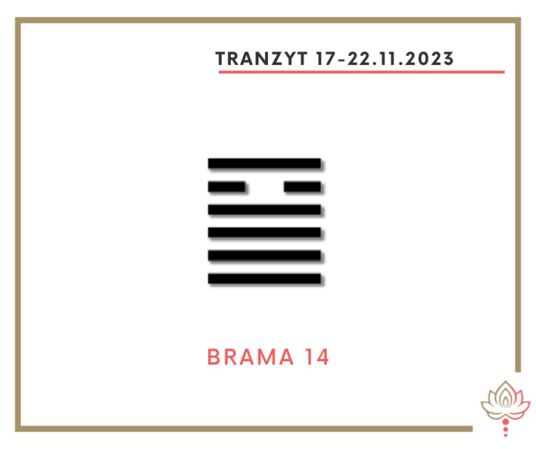 Read more about the article Tranzyt 17–22 XI 2023