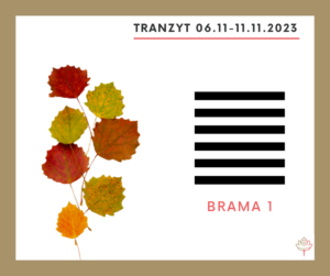 Read more about the article Tranzyt 6 XI – 11 XI 2023