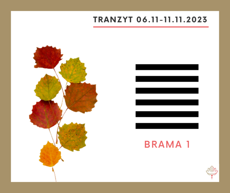Read more about the article Tranzyt 6 XI – 11 XI 2023