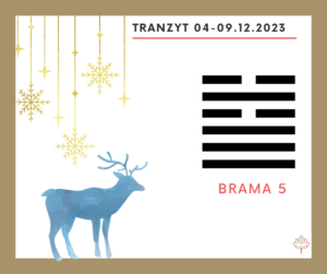 Read more about the article Tranzyt 4–9 XII 2023