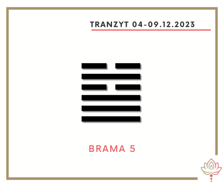 Read more about the article Tranzyt 4–9 XII 2023