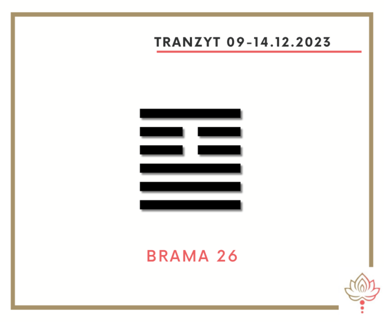 Read more about the article Tranzyt 9–14 XII 2023