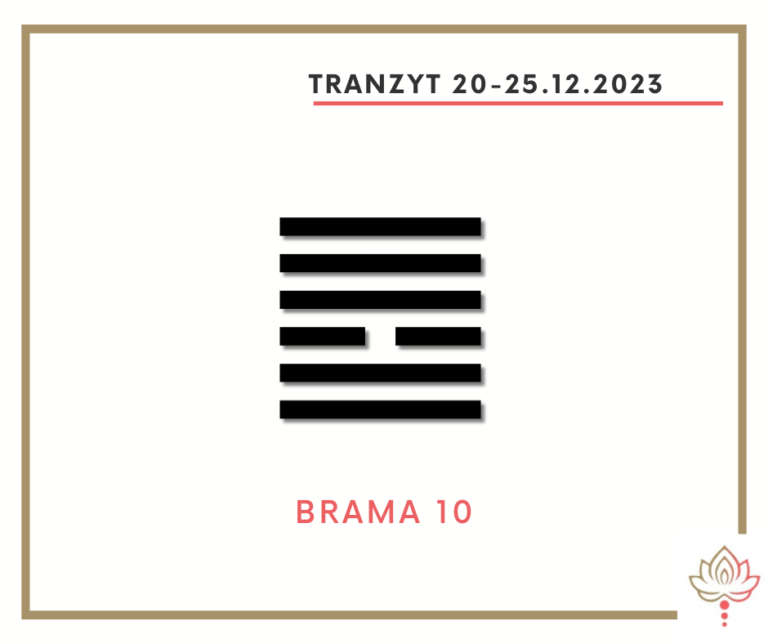 Read more about the article Tranzyt 20–25 XII 2023