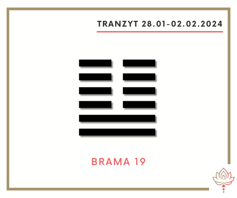 Read more about the article Tranzyt 28 I – 2 II 2024