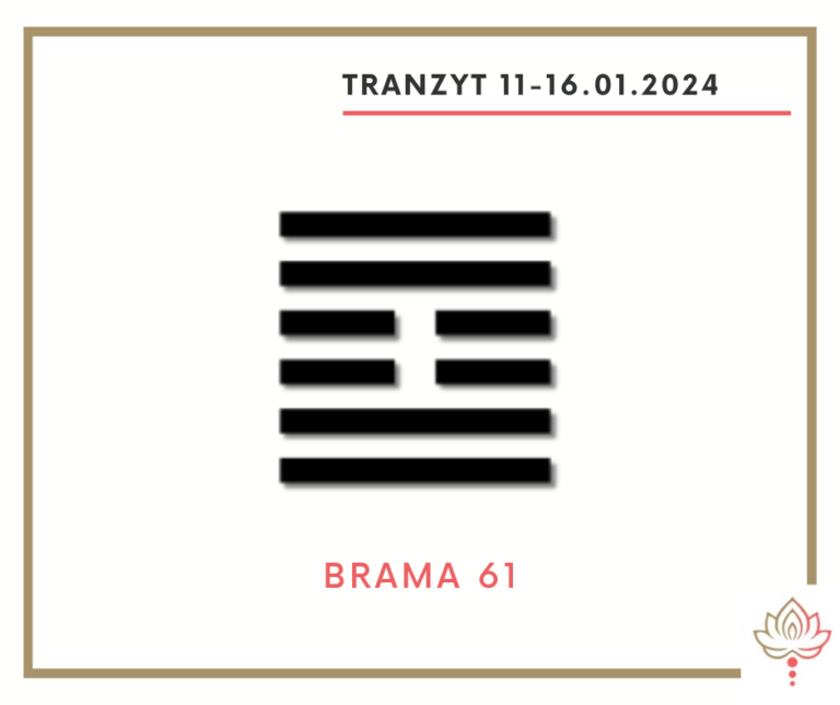 Read more about the article Tranzyt 11–16 I 2024