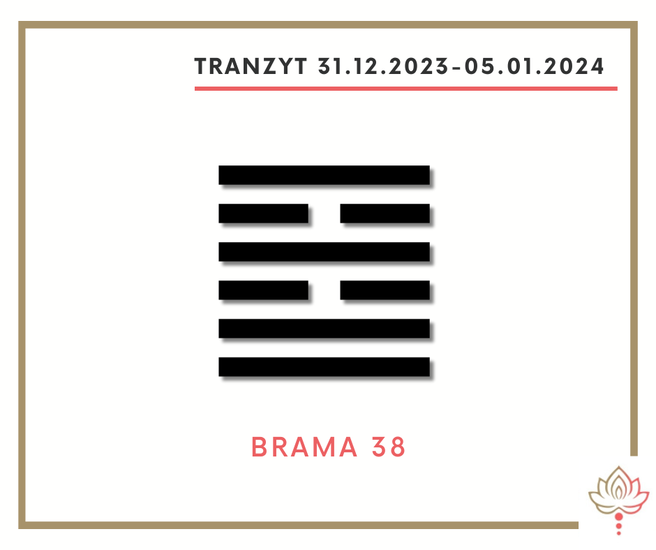 You are currently viewing Tranzyt 31 XII 2023 – 05 I 2024
