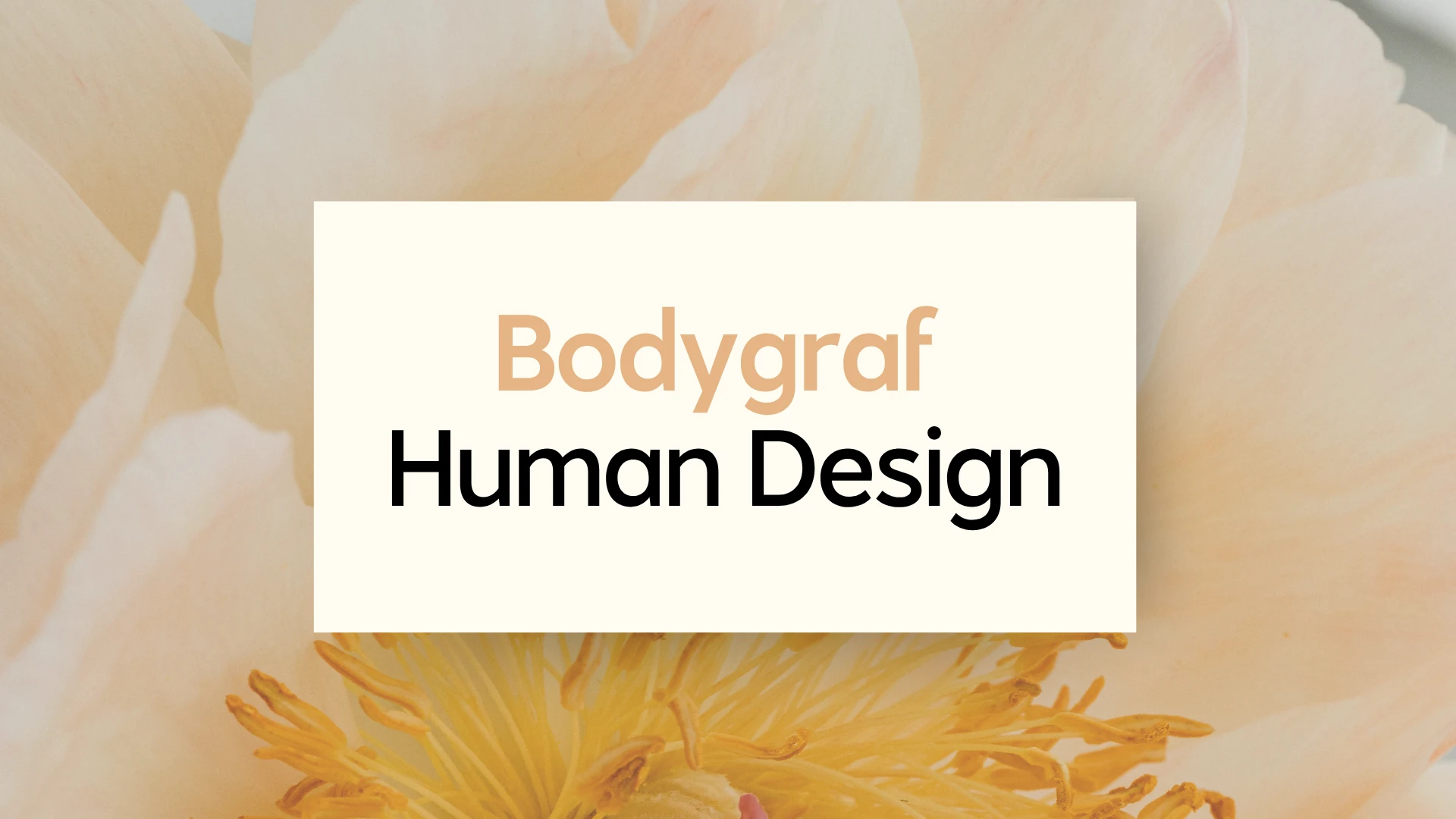 Bodygraf Human Design Bodygraf Human Design