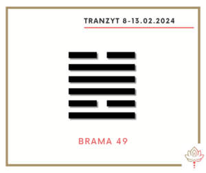 Read more about the article Tranzyt 8-13 II 2024