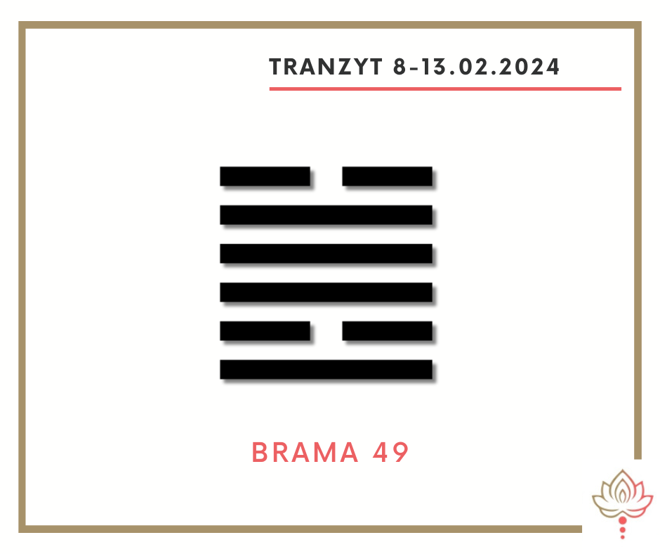 You are currently viewing Tranzyt 8-13 II 2024