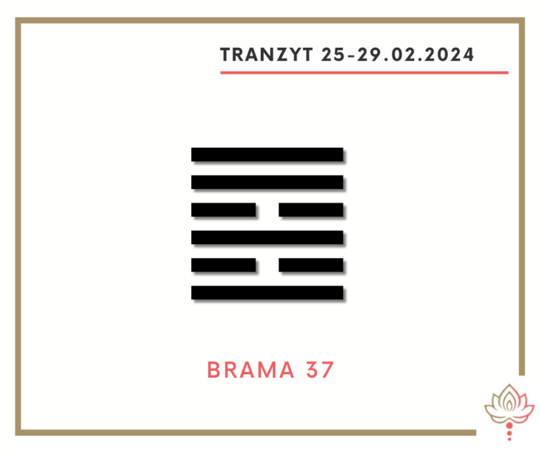 Read more about the article Tranzyt 25-29 II 2024