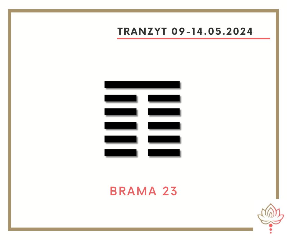 You are currently viewing Tranzyt 9 – 14 V 2024