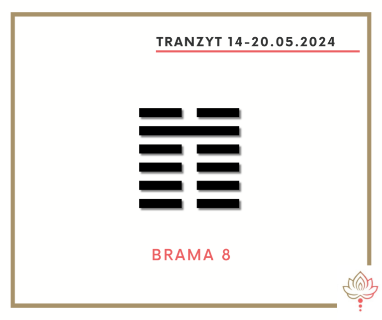 Read more about the article Tranzyt 14 – 20 V 2024