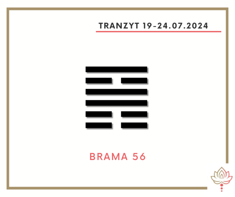 Read more about the article Tranzyt 19 – 24 VII 2024