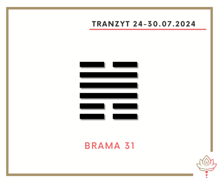 Read more about the article Tranzyt 24 – 30 VII 2024