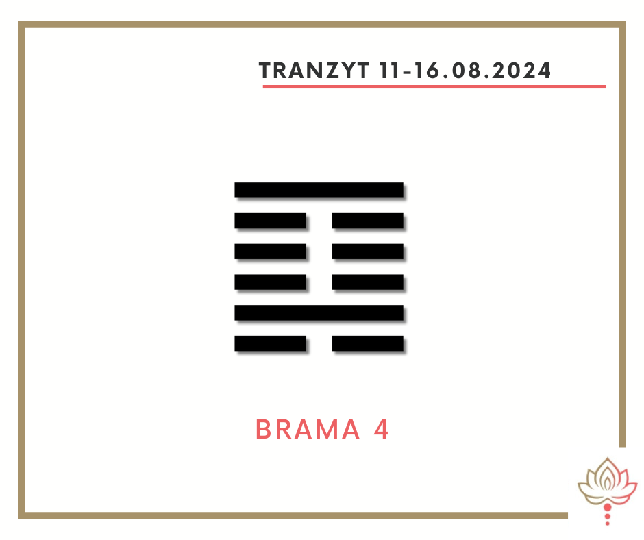 You are currently viewing Tranzyt 11-16 VIII 2024