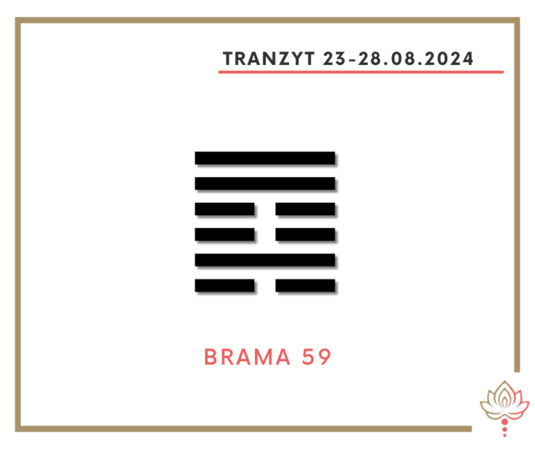 Read more about the article Tranzyt 23-28 VIII 2024