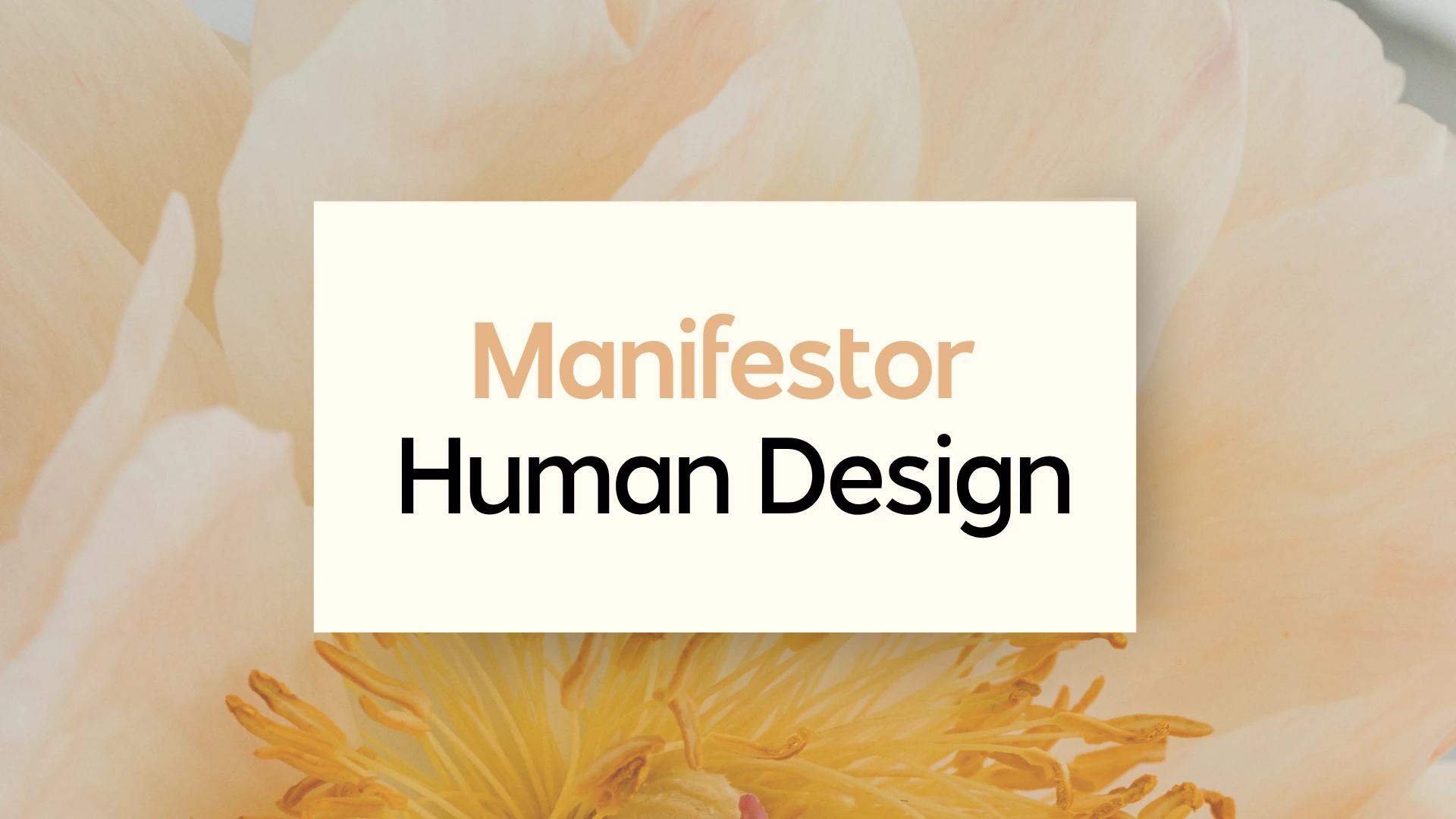 Manifestor Human Design
