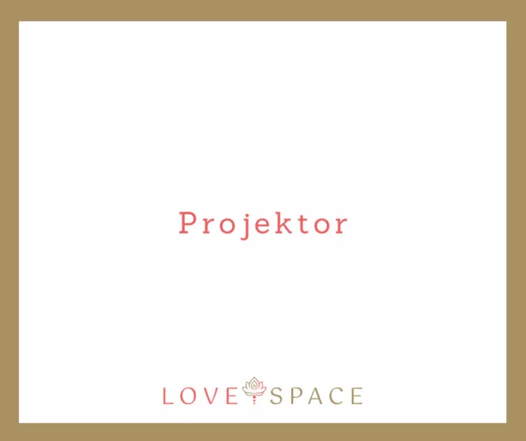 Read more about the article Projektor