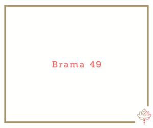 Read more about the article Brama 49 Human Design