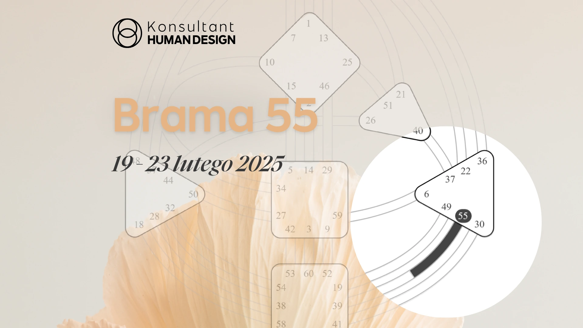 Brama 55 Human Design