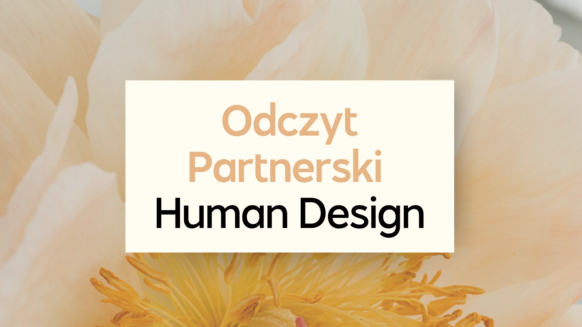 Odczyt Partnerski Human
