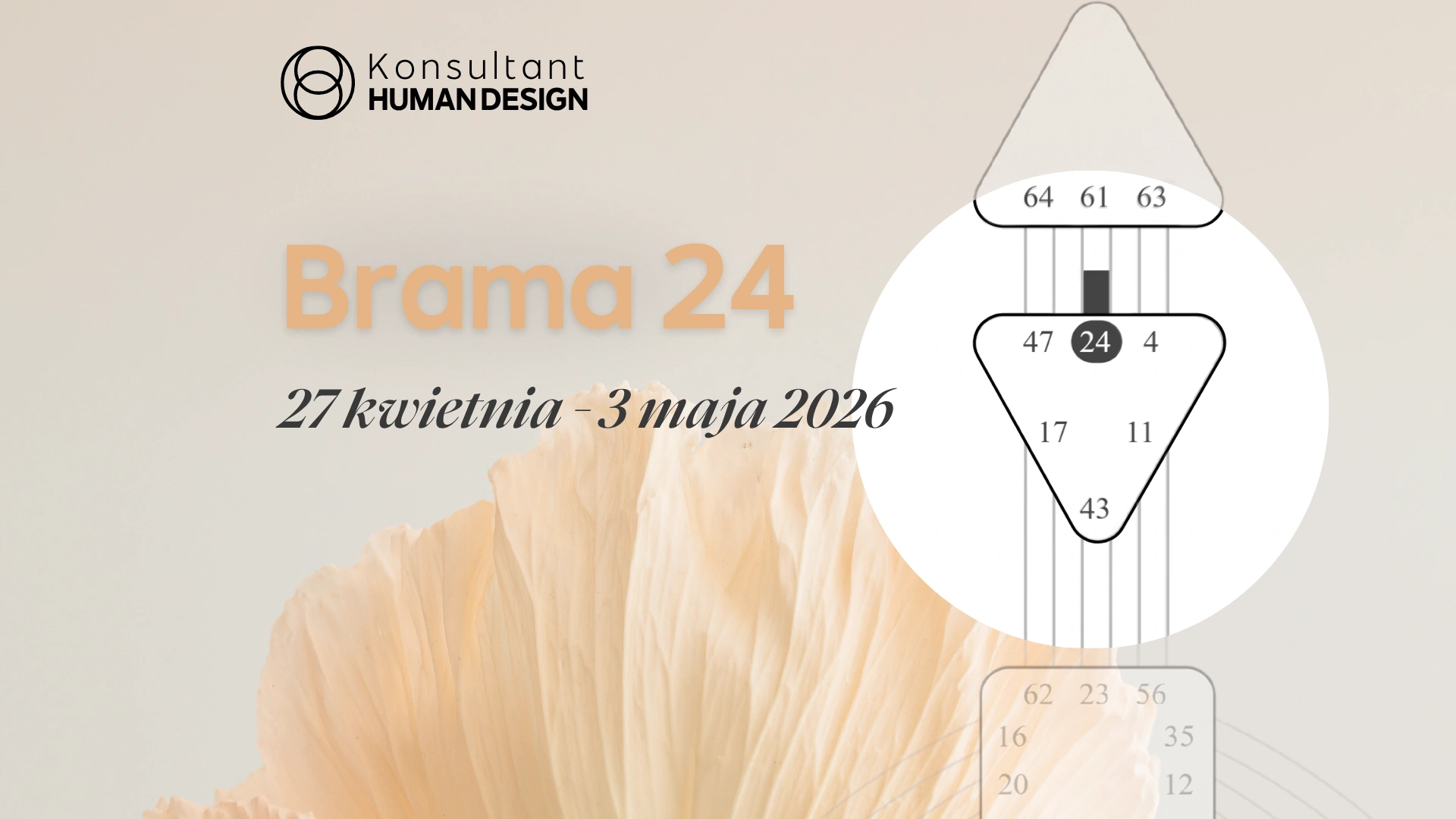 Brama 24 Human Design