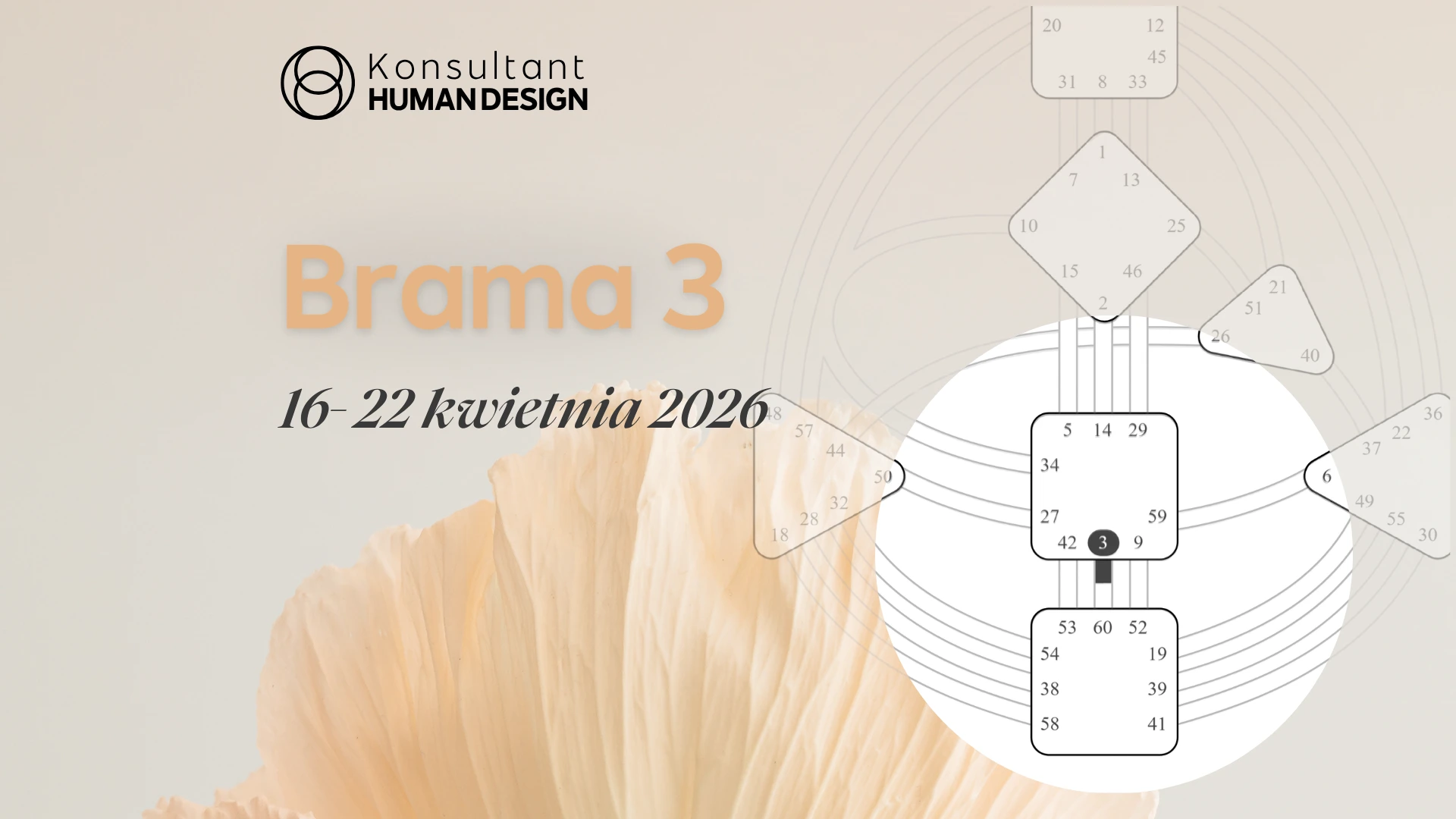 Brama 3 Human Design