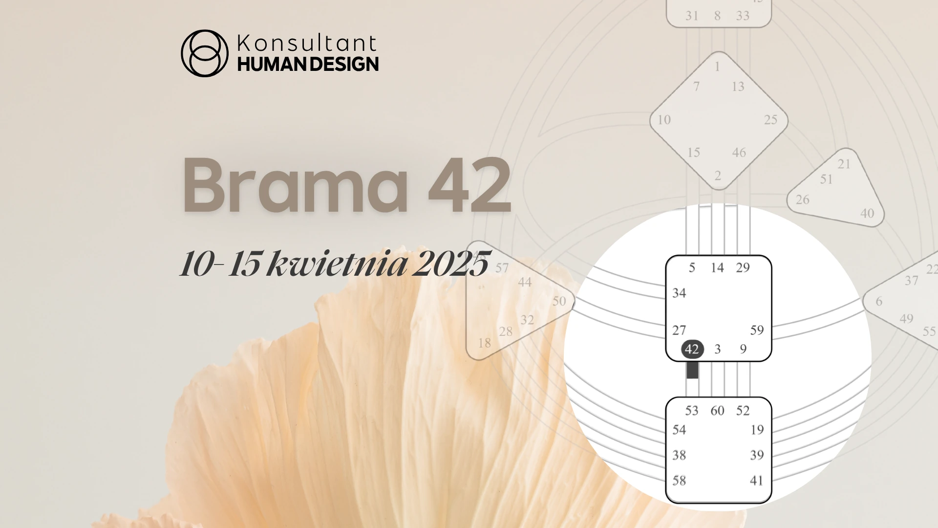 Brama 42 Human Design Brama 42 Human Design
