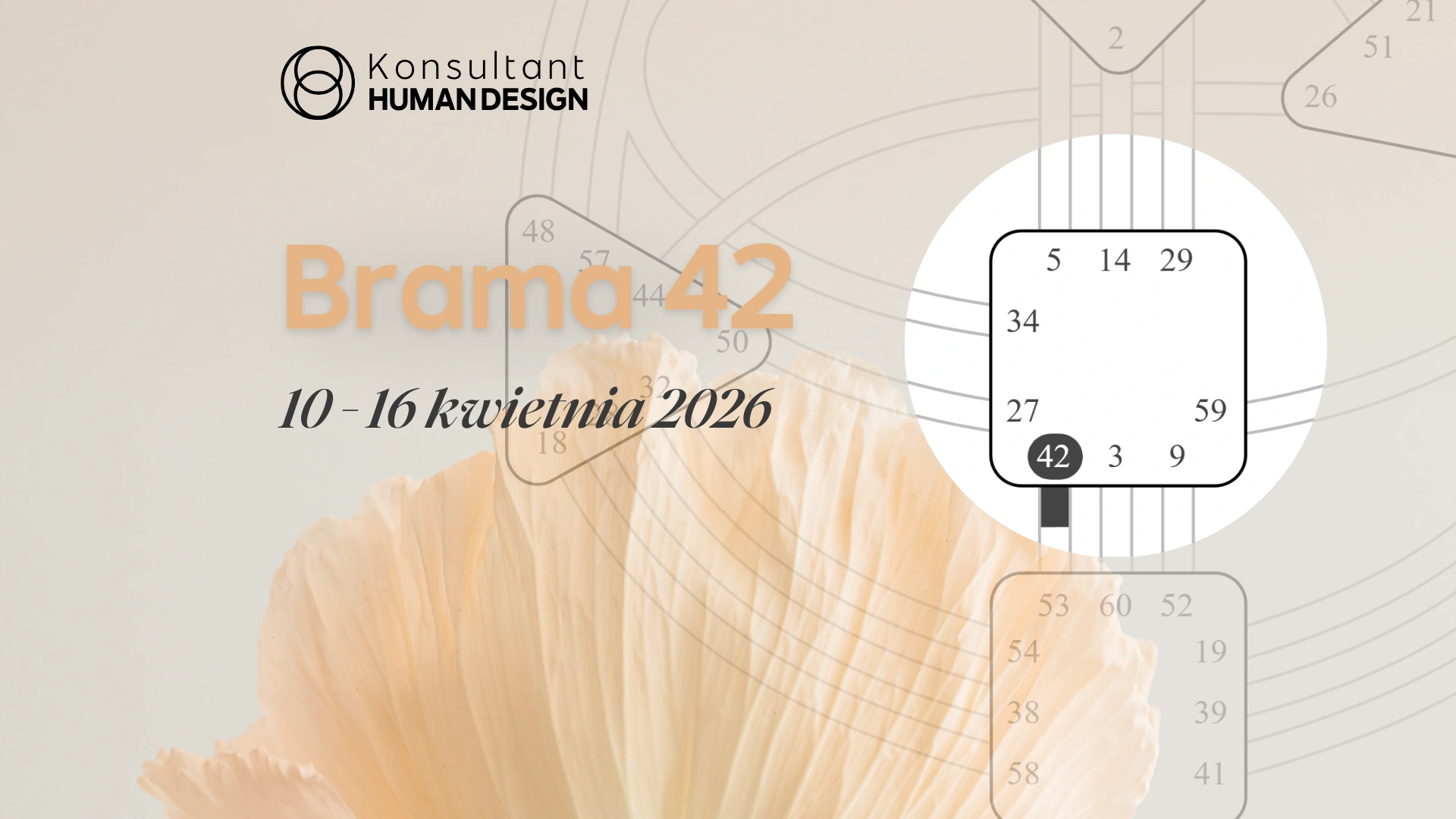 Brama 42 Human Design