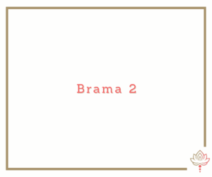 Read more about the article Brama 2 Human Design – tranzyt Słońca 3 – 8 maja 2025