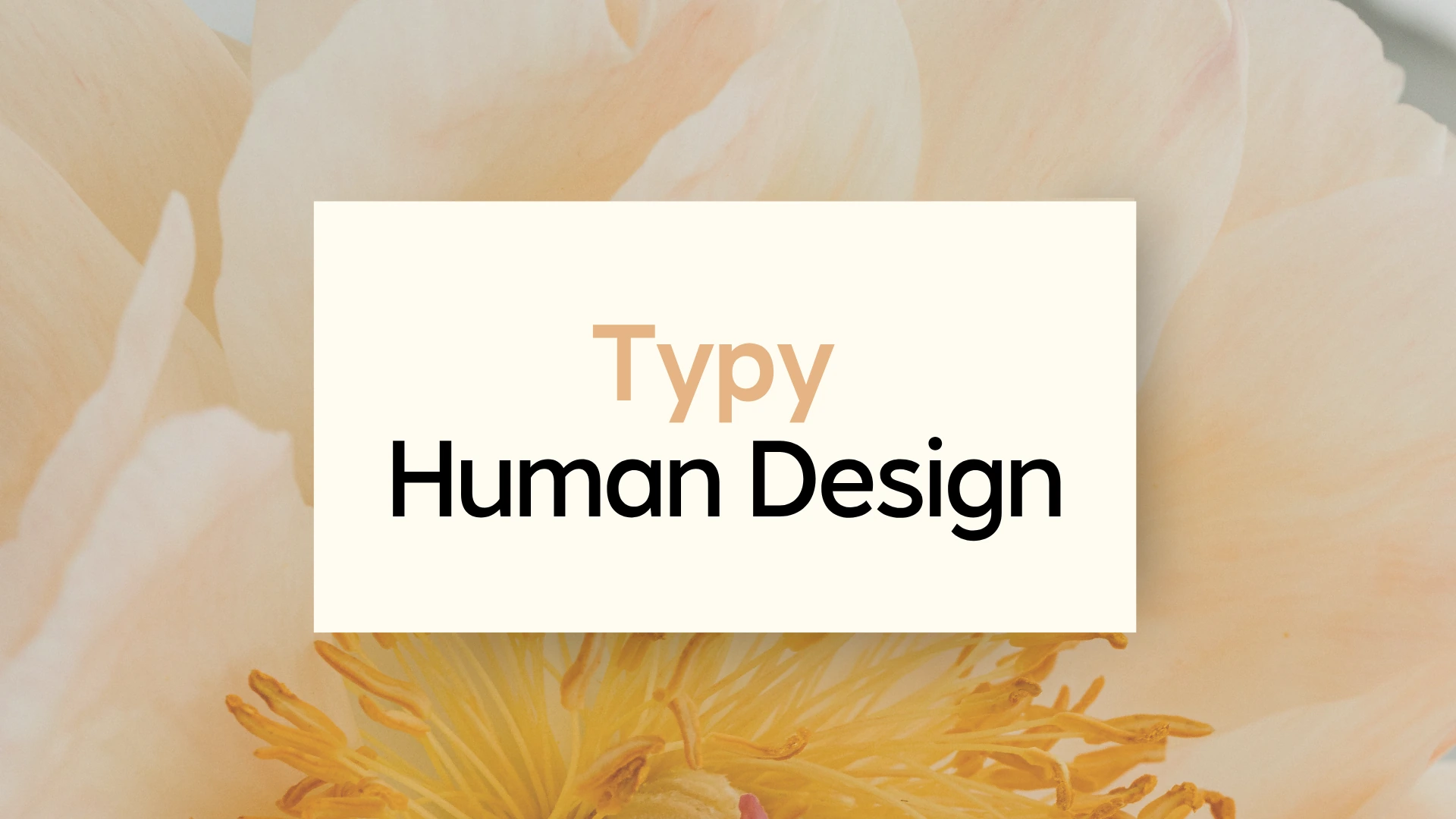 Typy w Human Design