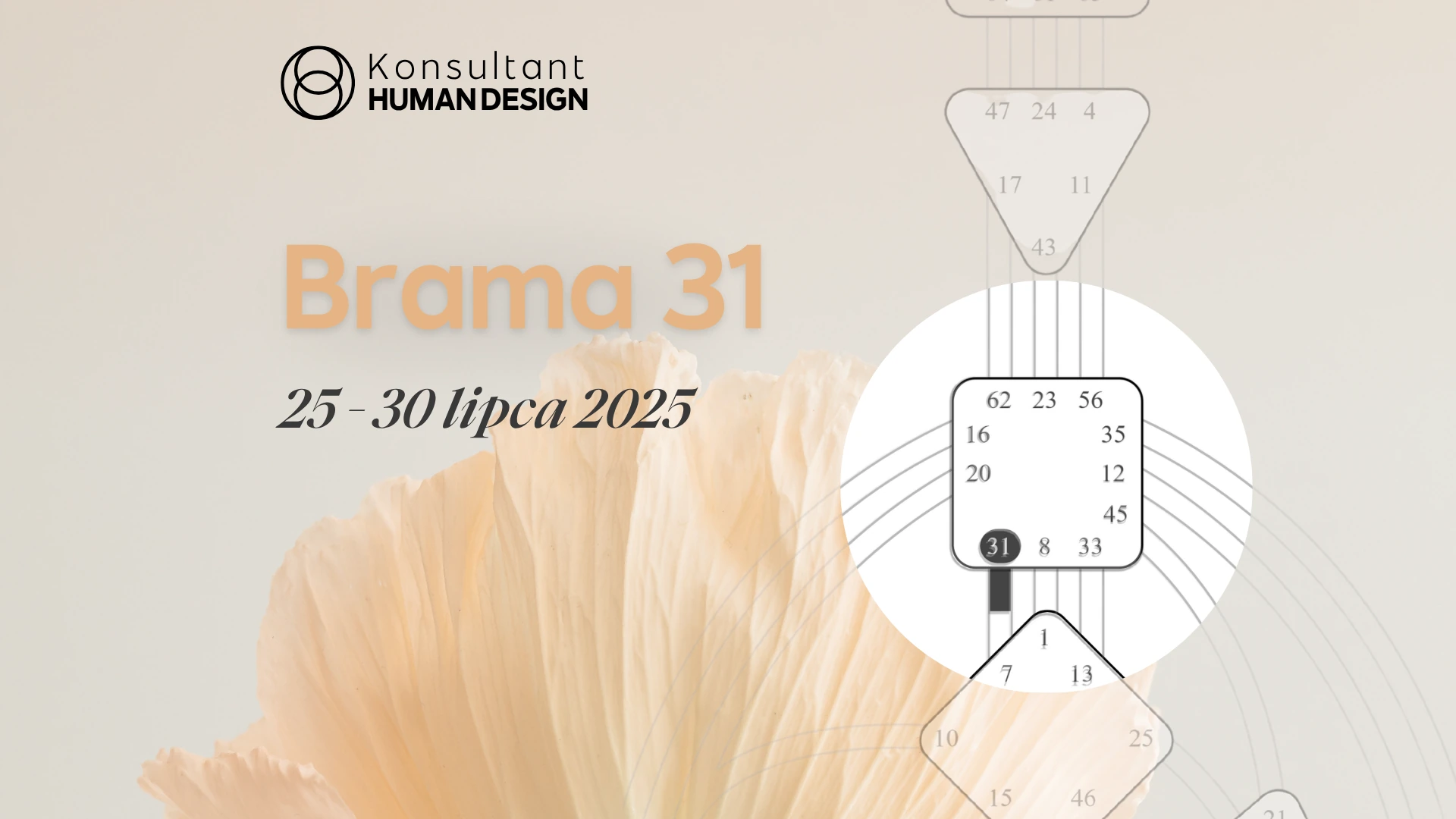 Brama 31 Human Design
