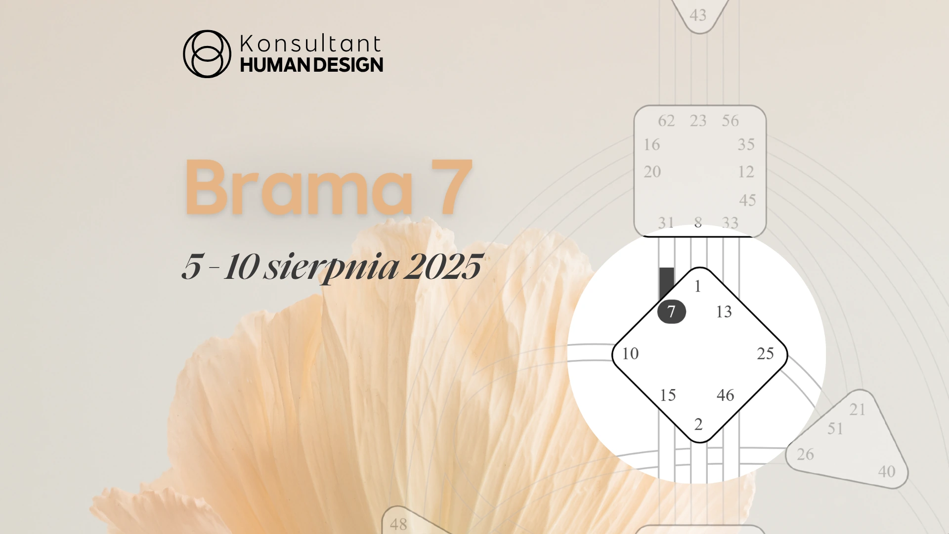 Brama 7 Human Design