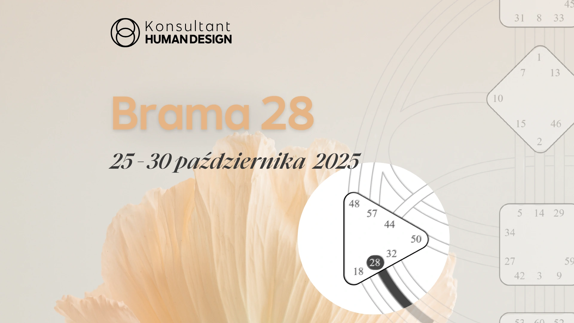 Brama 28 Human Design Brama 28 Human Design