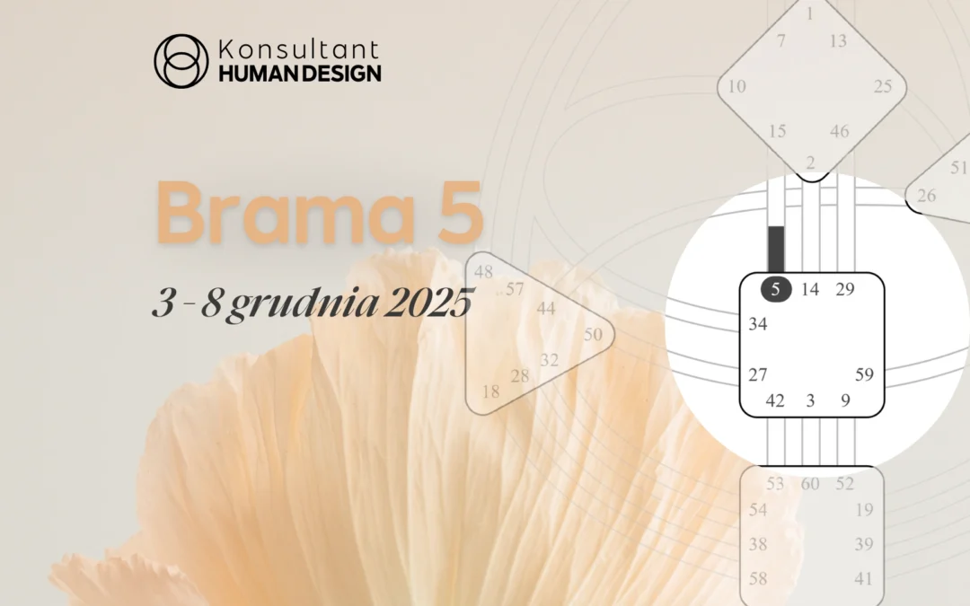 Brama 5 Human Design – Tranzyt Słońca 3 – 8 grudnia 2025