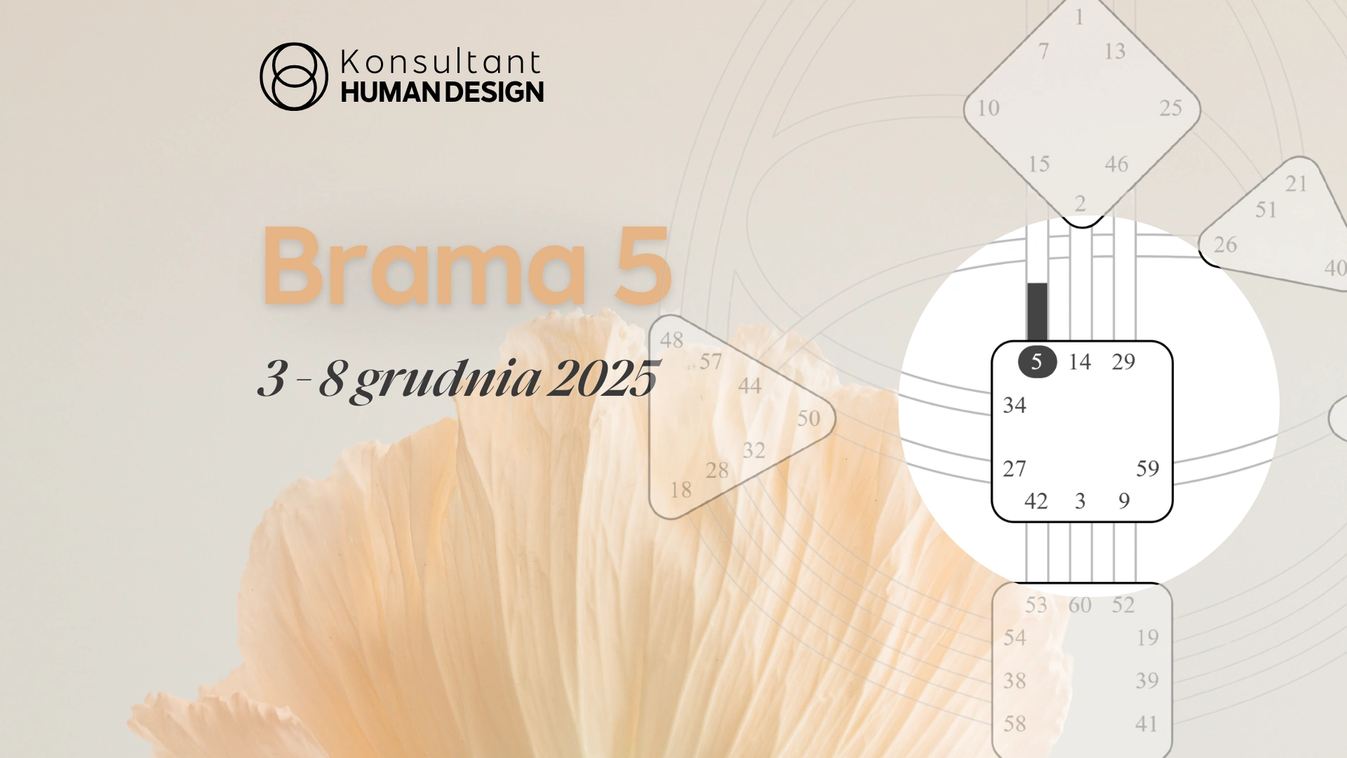 Brama 5 Human Design